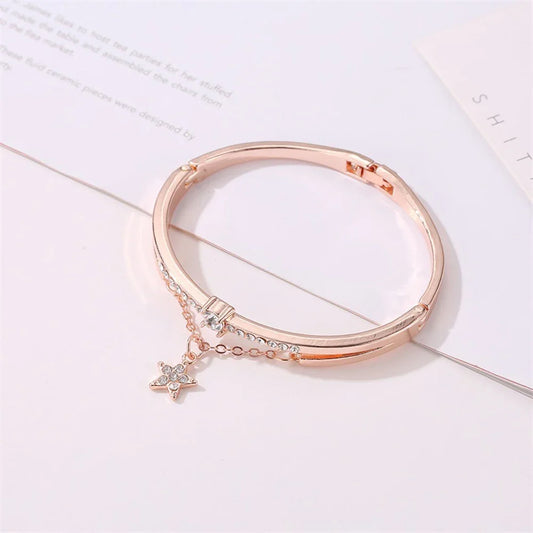 Luxury Jewelry Stainless Steel Bracelets & Bangles